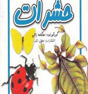 کتاب حشرات اثر هنگامه ژالی