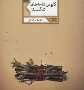 کتاب کابوس شاخه های شکسته اثر مهدی زارعی