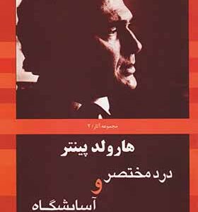 کتاب درد مختصر و آسایشگاه اثر هارولد پینتر