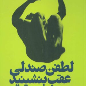 کتاب لطفا صندلی عقب بنشینید اثر سید احمد حسینی
