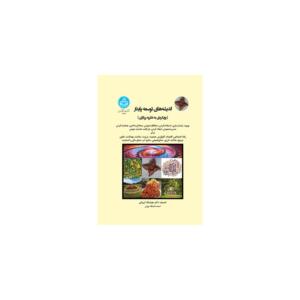 کتاب اندیشه های پایدار رویکردی به نظریه پردازی اثر هوشنگ ایروانی
