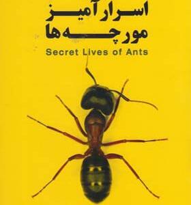 کتاب زندگی اسرار آمیز مورچه ها اثر جائو چه
