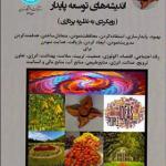 کتاب اندیشه های توسعه پایدار رویکردی به نظریه پردازی اثر هوشنگ ایروانی