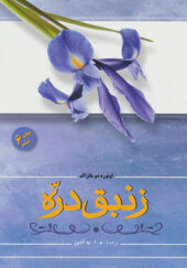کتاب زنبق دره اثر اونوره دو بالزاک