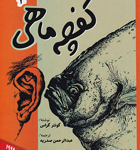 کتاب کفچه ماهی 2 جلدی اثر گونتر گراس