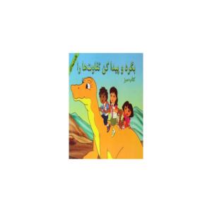 کتاب بگرد و پیدا کن تفاوت ها را کتاب سبز