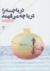 کتاب دریاچه را دریاچه می فهمد اثر محمد رهام