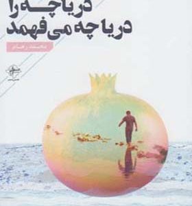 کتاب دریاچه را دریاچه می فهمد اثر محمد رهام