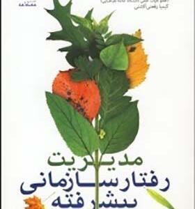 کتاب مدیریت رفتار سازمانی پیشرفته میر علی سید نقوی