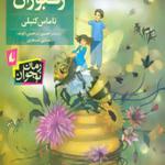 کتاب شهر زنبوران