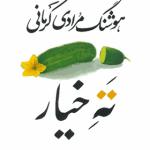 کتاب ته خیار اثر هوشنگ مرادی کرمانی