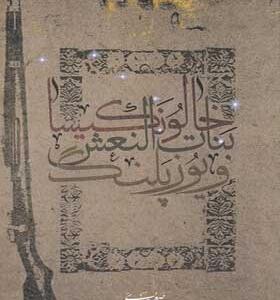 کتاب-رمان-خالو-نکیسا-و-یوزپلنگ-اثر-ایرج-صغیری