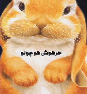 کتاب داستان زندگی خرگوش کوچولو