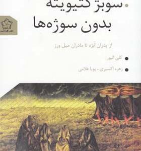 کتاب سوبژکتیویته بدون سوژه ها