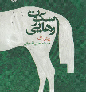 کتاب-سکوت-رهایی-اثر-پیتر-راک