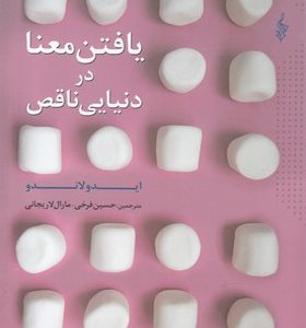 کتاب یافتن معنا در دنیایی ناقص