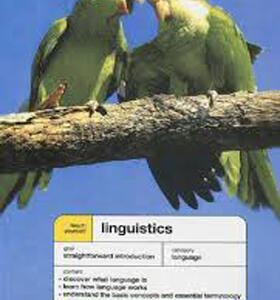 Linguistics Teach Yourself Languages 6th