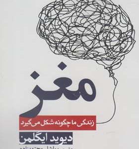 کتاب مغز زندگی ما چگونه شکل می گیرد