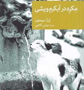 کتاب مگره در آبگرم ویشی اثر ژرژ سیمون