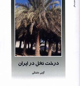 کتاب از ایران چه میدانم 161 درخت نخل در ایران اثر گیتی دشتکی انشارات دفترپژوهش های فرهنگی