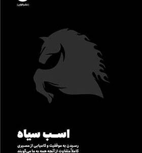 کتاب اسب سیاه اثر تاد رز ترجمه پیام بهرامپور انتشارات مون