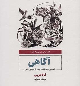 کتاب آگاهی راهنمایی برای کشف رمز و راز بنیادین ذهن اثر آناکا هریس ترجمه مهرناز نوروزی انتشارات ذهن آویز
