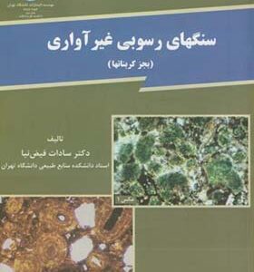 کتاب سنگهای رسوبی غیرآواری