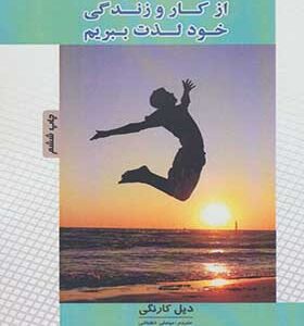 کتاب چگونه از کار و زندگی خود لذت ببریم اثر دیل کارنگی
