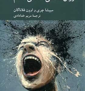 کتاب روان‌شناسی اخلاقی خشم اثر مییشا چری