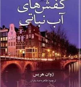 کتاب کفش های آب نباتی اثر ژوان هریس ترجمه طاهره صدیقیان انتشارات تندیس