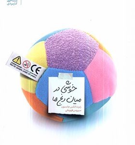 کتاب خوشی در میان رنج‌ ها اثر رابرت‌ الکس جانسون ترجمه سیروس قهرمانی انتشارات بنیاد فرهنگ زندگی