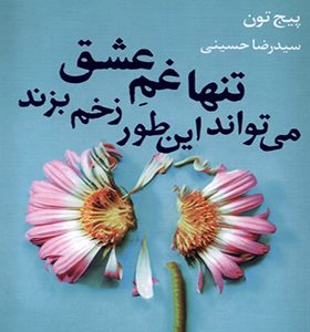 کتاب تنها غم عشق می‌ تواند این‌ طور زخم بزند اثر پیج تون ترجمه رضا حسینی انتشارات آموت