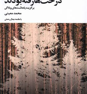 کتاب درخت‌ ها رفته بودند