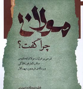 کتاب مولانا چرا گفت