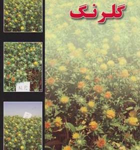 کتاب تغذیه گیاهی گلرنگ