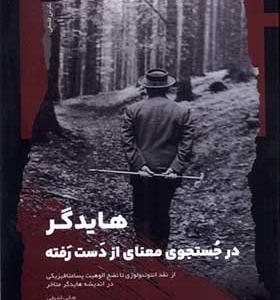 کتاب هایدگر در جستجوی معنای از دست رفته