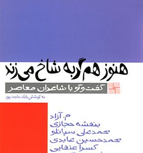 کتاب هنوز هم گربه شاخ می‌ زند