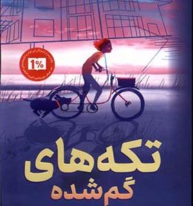 کتاب تکه های گم شده