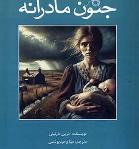کتاب جنون مادرانه