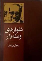 کتاب شلوارهای وصله دار اثر رسول پرویزی انتشارات جاویدان