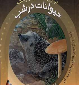 کتاب بازی با نور و رنگ حیوانات‌ در شب