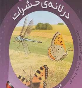 کتاب بازی با نور و رنگ در لانه‌ ی‌ حشرات