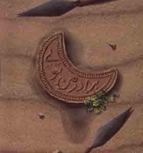 کتاب برادر من تویی