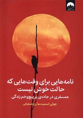 کتاب نامه‌ هایی‌ برای‌ وقت‌ هایی‌ که‌ حالت‌ خوش‌ نیست