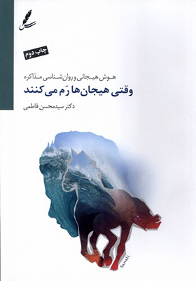 کتاب وقتی هیجان‌ ها رم می‌کنند