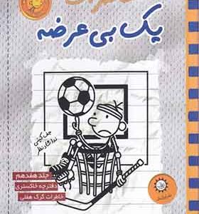 کتاب خاطرات یک بی عرضه 17 دفترچه خاکستری