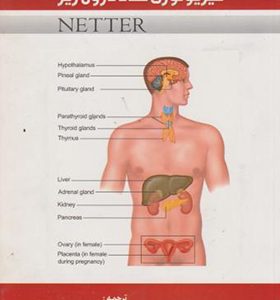 کتاب فیزیولوژی غدد درون ریز