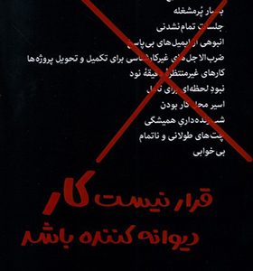 کتاب قرار نیست کار دیوانه کننده باشد