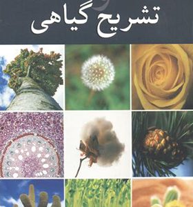 کتاب ریخت شناسی تشریح گیاهی