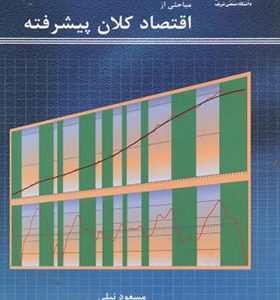 کتاب مباحثی از اقتصاد کلان پیشرفته اثر مسعود نیلی انتشارات دانشگاه صنعتی شریف